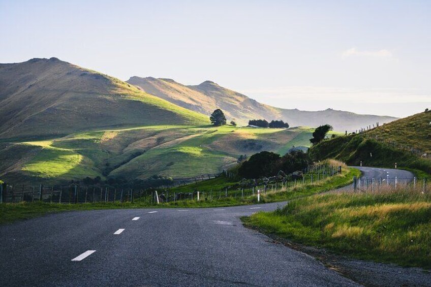 Small Group Tour Akaroa and Banks Peninsula from Christchurch