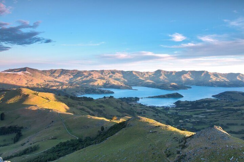 Small Group Tour Akaroa and Banks Peninsula from Christchurch