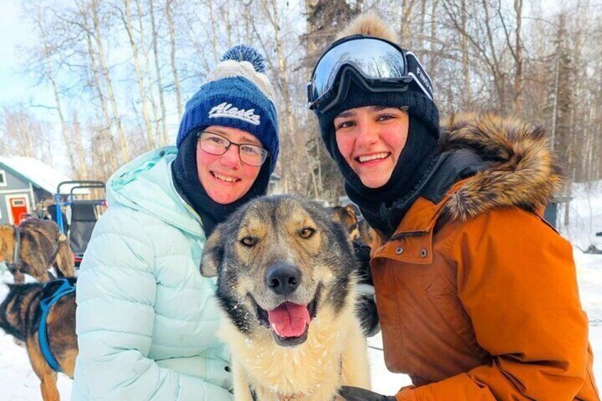 Adventure Awaits Dog Sledding on Stunning Alaskan Trails