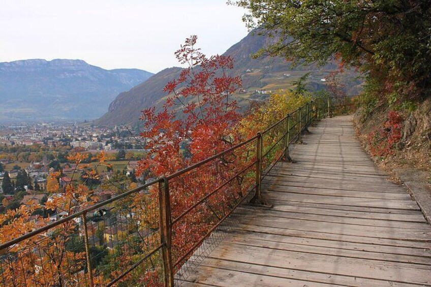 Bolzano's Hidden Gems and Highlights A Self-Guided Walking Tour