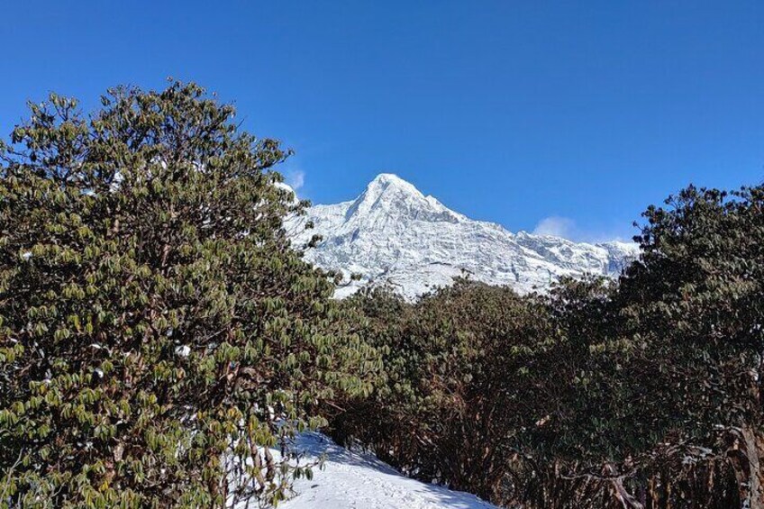 View from Badal Danda