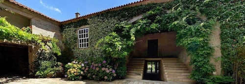 Porto: Private Green Wine Tour: Visit 2 Wine Estates & Lunch