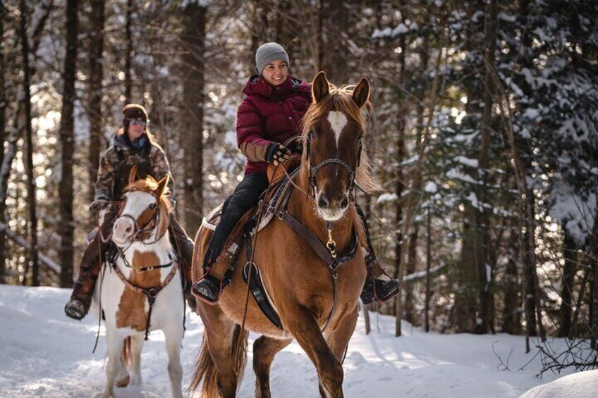 Guided Horse Riding in the Bay of Saint Paul Valley