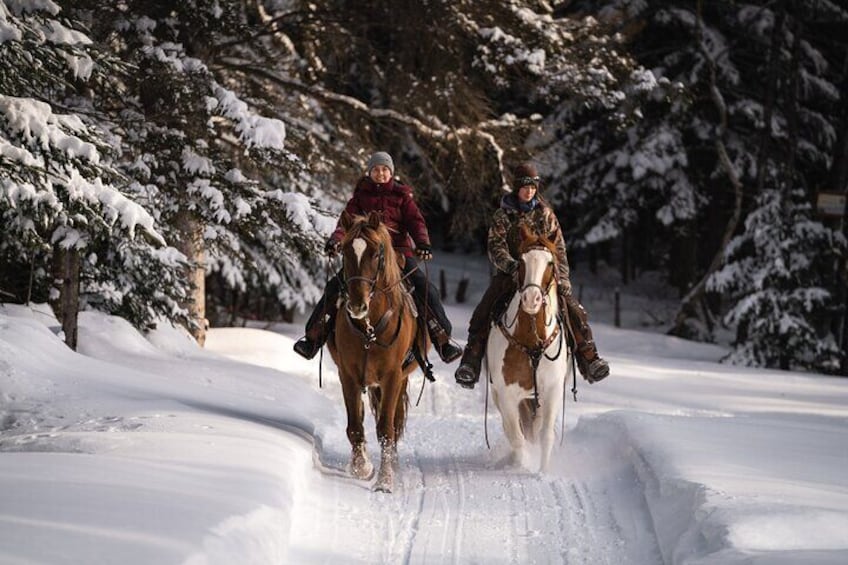 Guided Horse Riding in the Bay of Saint Paul Valley