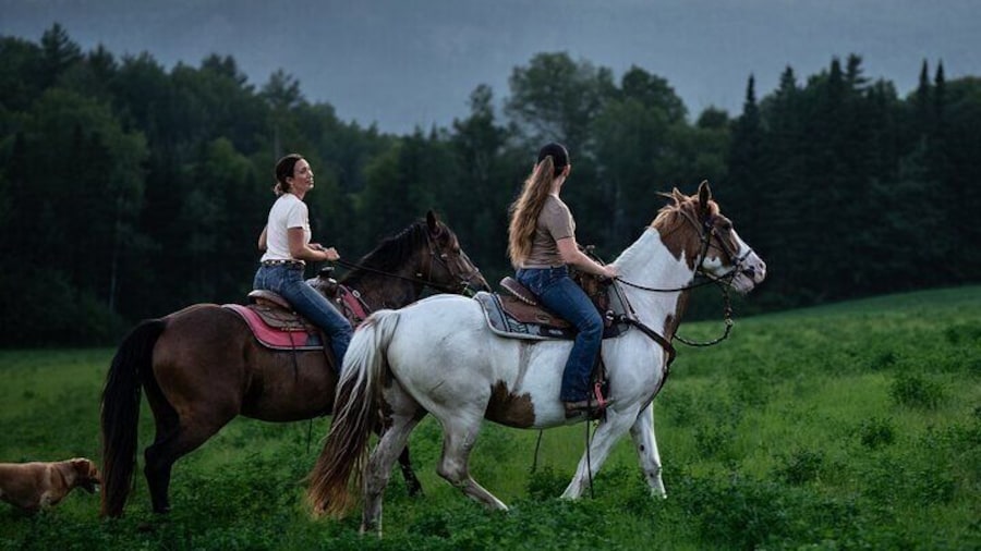 Guided Horse Riding in the Bay of Saint Paul Valley