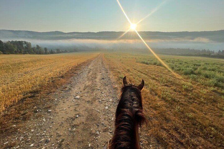 Guided Horse Riding in the Bay of Saint Paul Valley