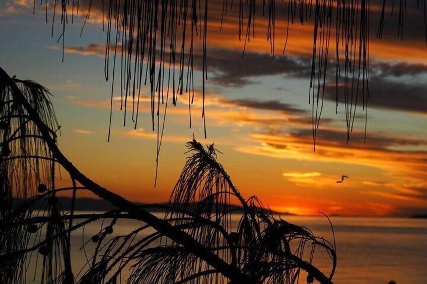 Beach Sunset