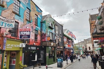 Private Guided Tour of Dublin in English