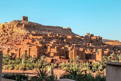 Private Day trip Ouarzazate Cinema kasbah and oasis