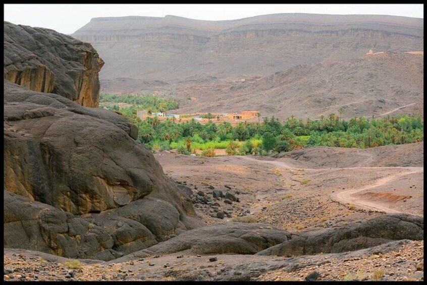 Oasis of Fint