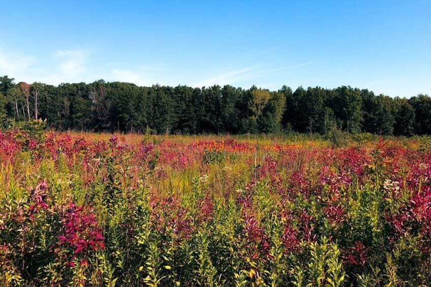 2 Days Audio Guided Tour in Cuyahoga Valley and Indiana Dunes 