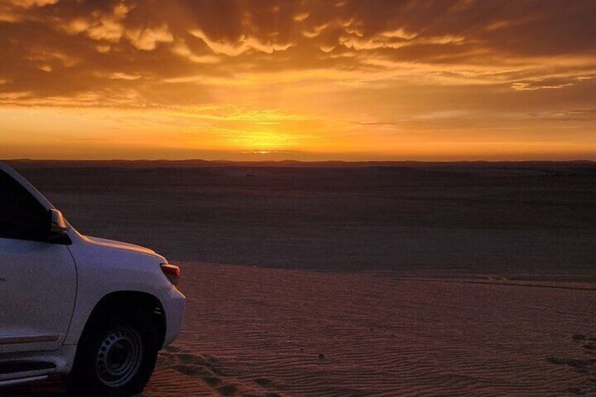 Desert Safari Adventure Qatar Experience 