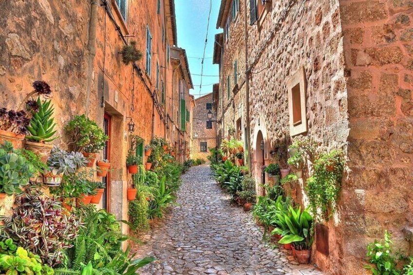 Private Tour to Valldemossa and Deia