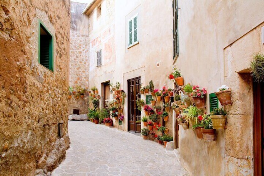 Private Tour to Valldemossa and Deia