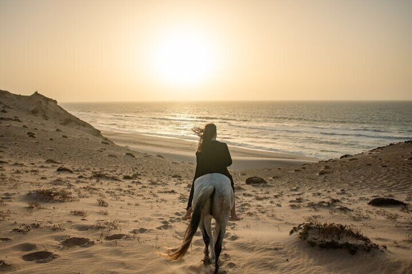 1 Hour Dakhla Horse Ride Experience