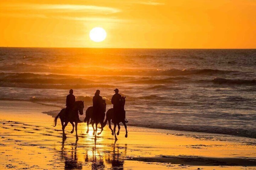 1 Hour Dakhla Horse Ride Experience