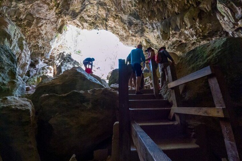 Higüey Safari, Basilica and Macao Beach Tour