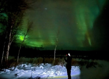 Northern lights private tour Rovaniemi