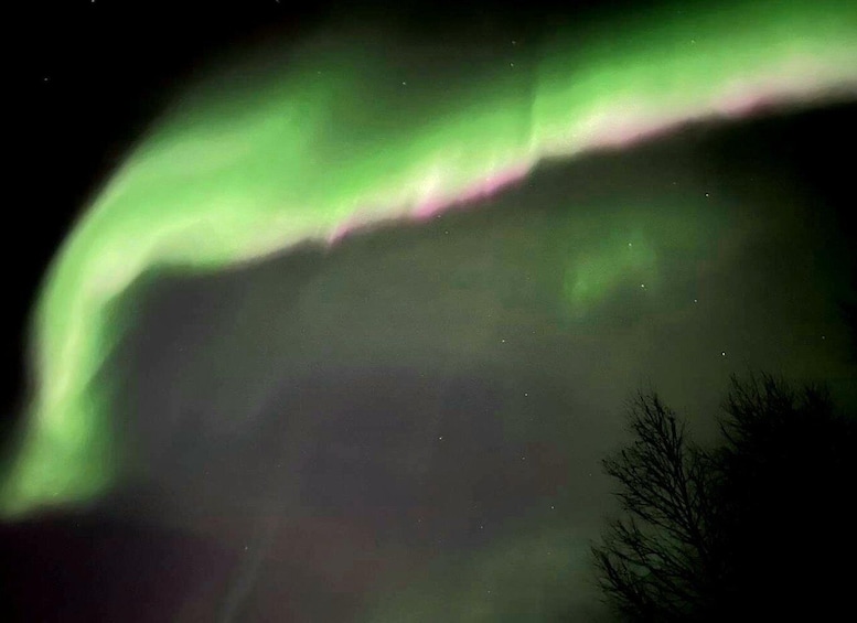 Picture 10 for Activity Northern lights private tour Rovaniemi