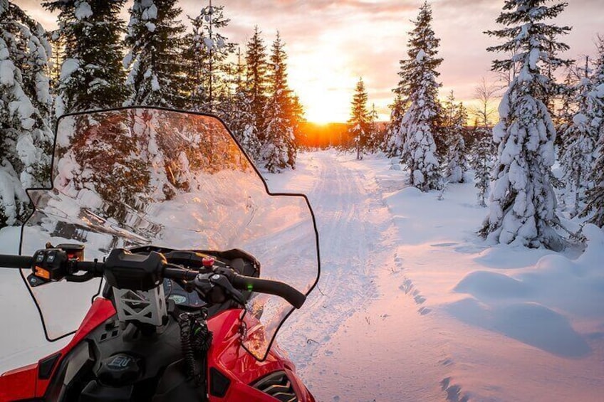 Family Snowmobile Safari in Rovaniemi