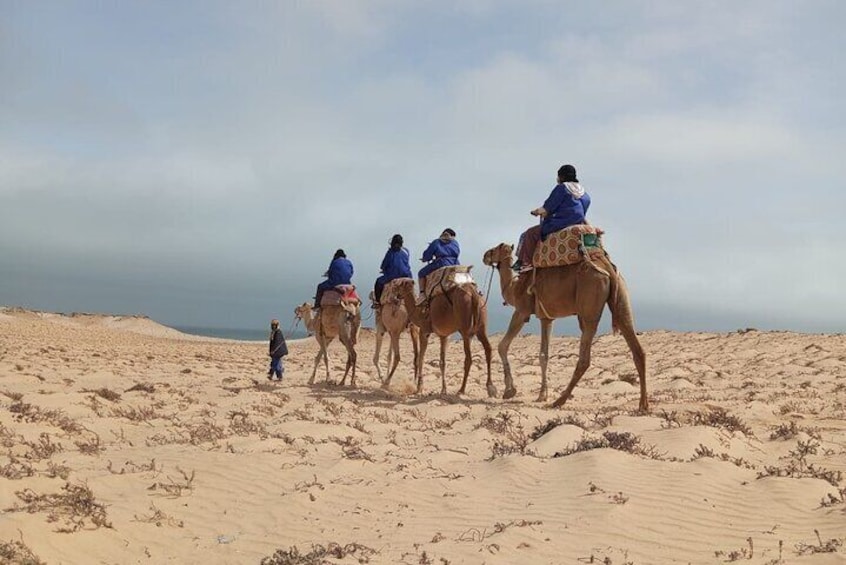 1 Hour Dakhla Camel Ride Experience