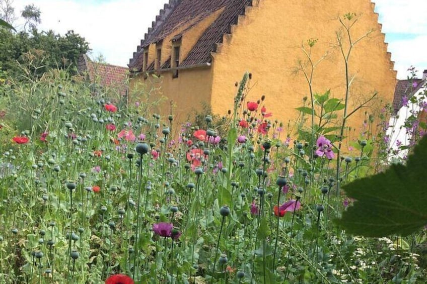 Culross Palace Garden