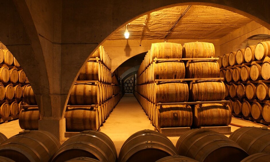 Winery Familia Bouza Lunch
