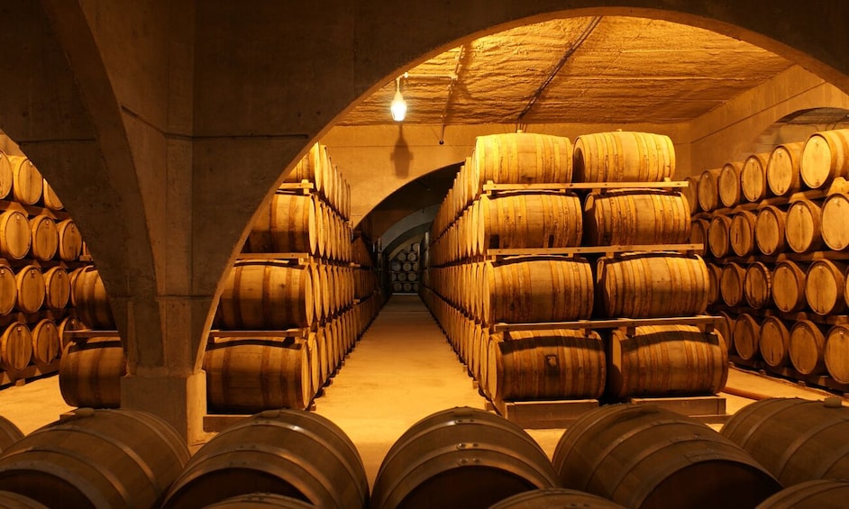 Winery Familia Bouza Lunch