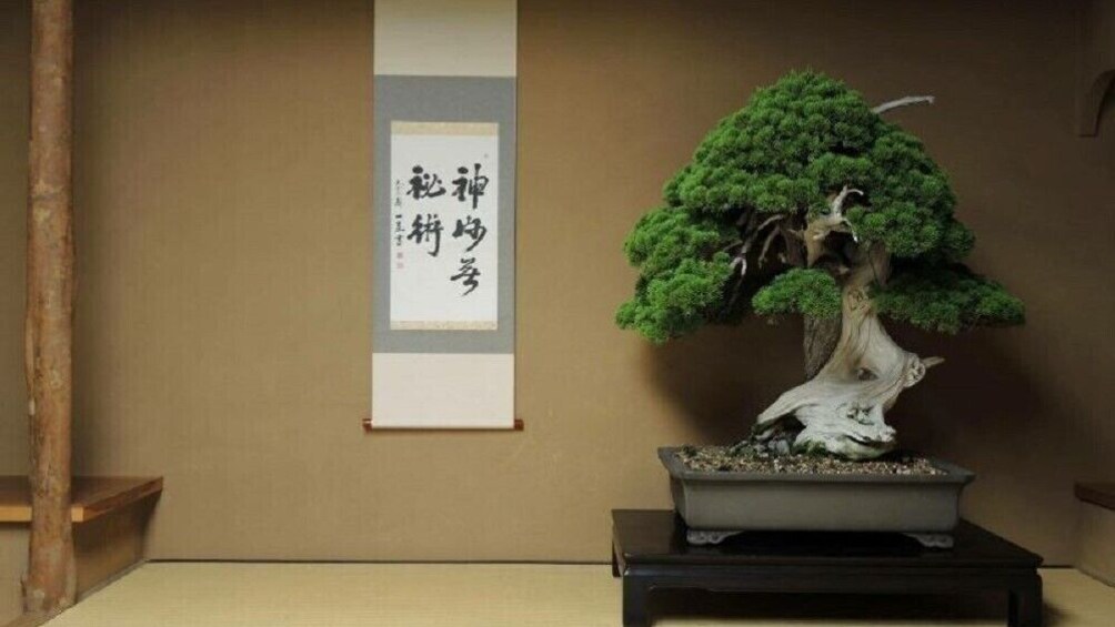 Bonsai Experience and Tour of Shunkaen Bonsai Museum Tour in Tokyo