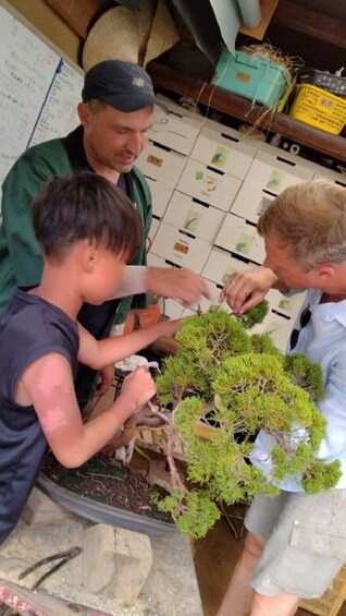 Tokyo: Bonsai Experience and Tour of Shunkaen Bonsai Museum (1 hour / EN)