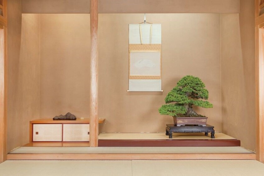 Tokyo: Bonsai Experience and Tour of Shunkaen Bonsai Museum (1 hour / EN)