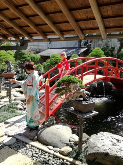 Tokyo: Bonsai Experience and Tour of Shunkaen Bonsai Museum (1 hour / EN)