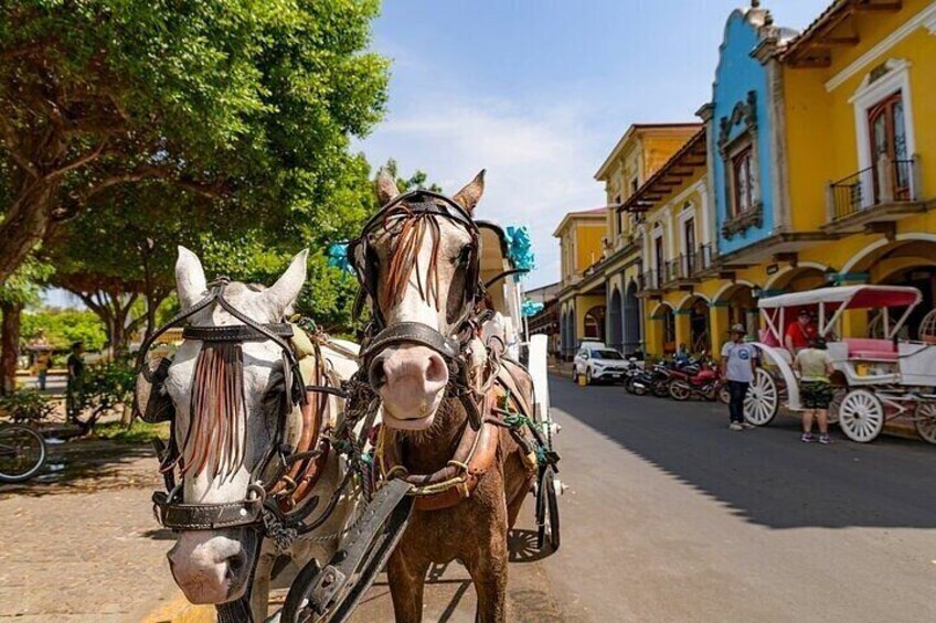 Nicaragua Full Day Experience from Costa Rica