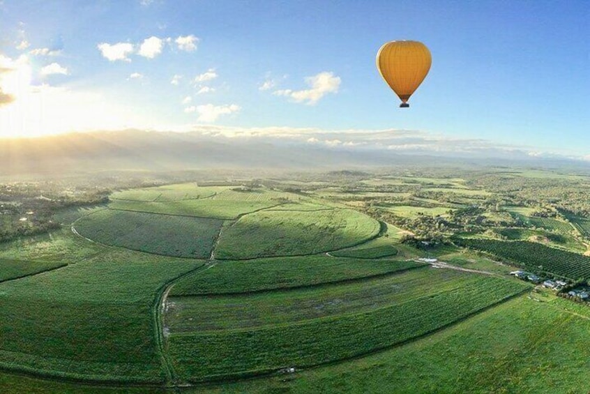 Cairns Hot Air Balloon with Transfers 