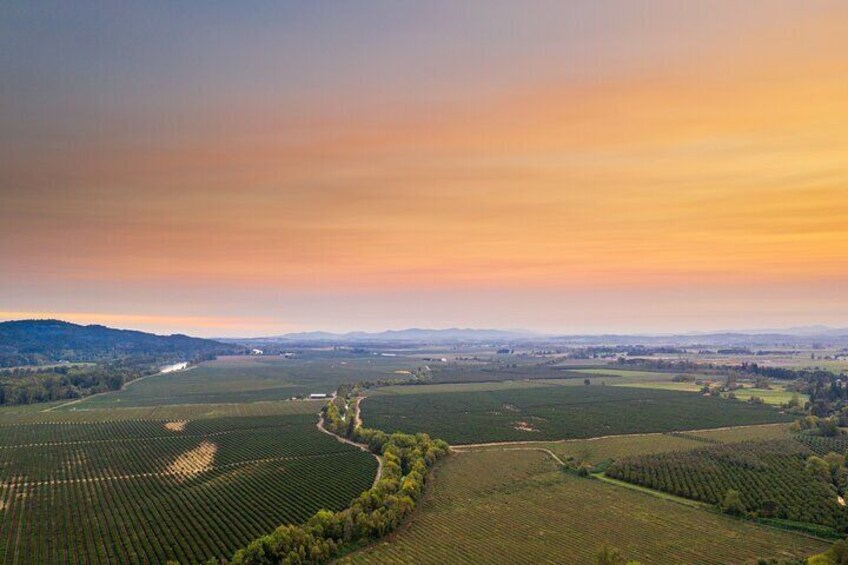 Willamette Valley views from property.