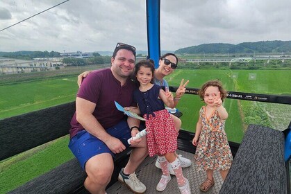 Tour privado de estilo libre (Esencia de la ciudad de Seúl o DMZ)