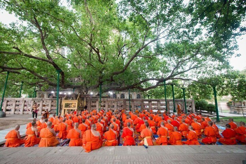 Group of Buddhist monks pray to take a refuge for the lord Buddha at bodhi tree,the place of enlightenment.