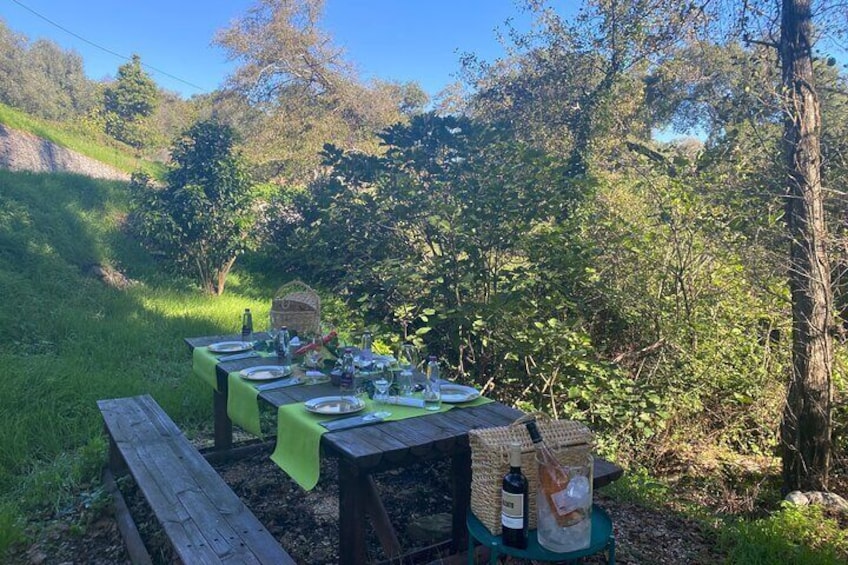 Private Typical Portuguese Picnic in Serra de Monchique