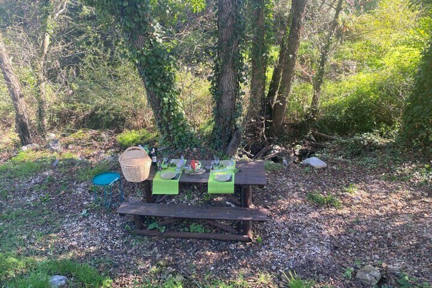 Private Typical Portuguese Picnic in Serra de Monchique