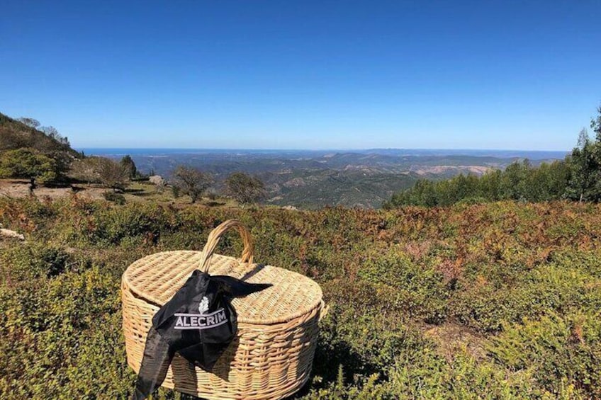 Private Typical Portuguese Picnic in Serra de Monchique