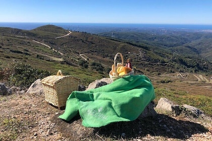 Private Typical Portuguese Picnic in Serra de Monchique