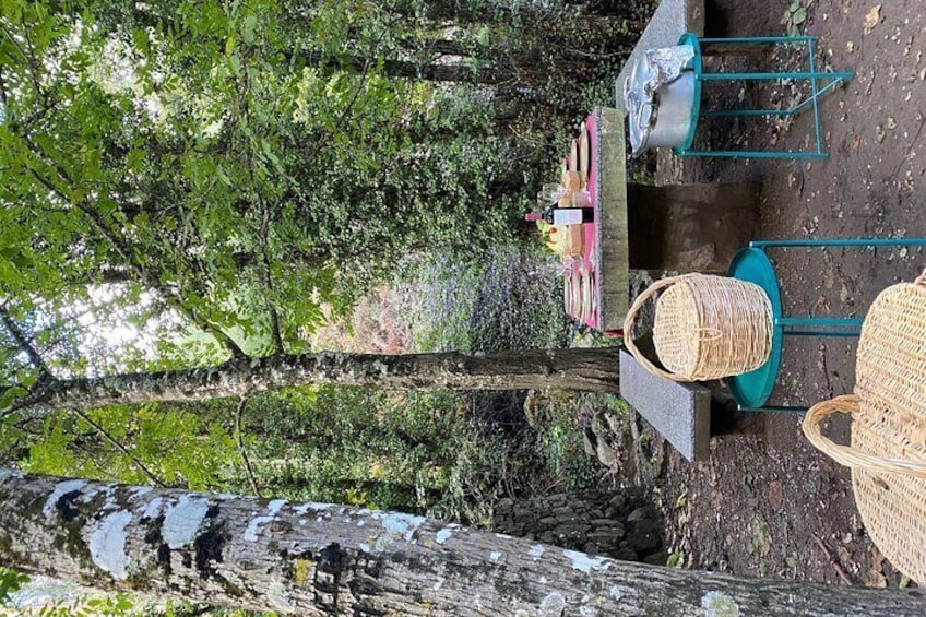 Private Typical Portuguese Picnic in Serra de Monchique