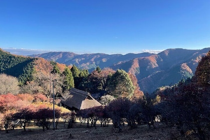 Tokyo Mountain History and Culture Eco Tour