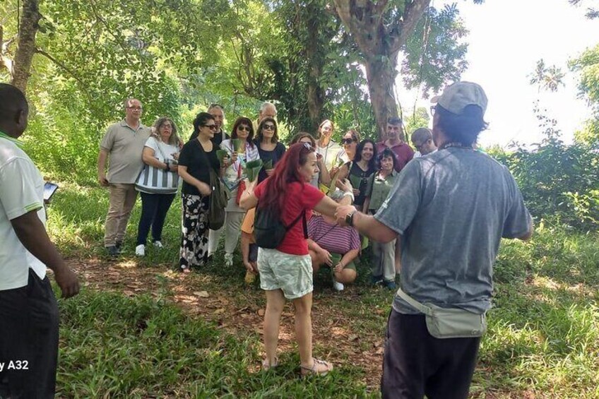 Jozani Forest and Spice Farm