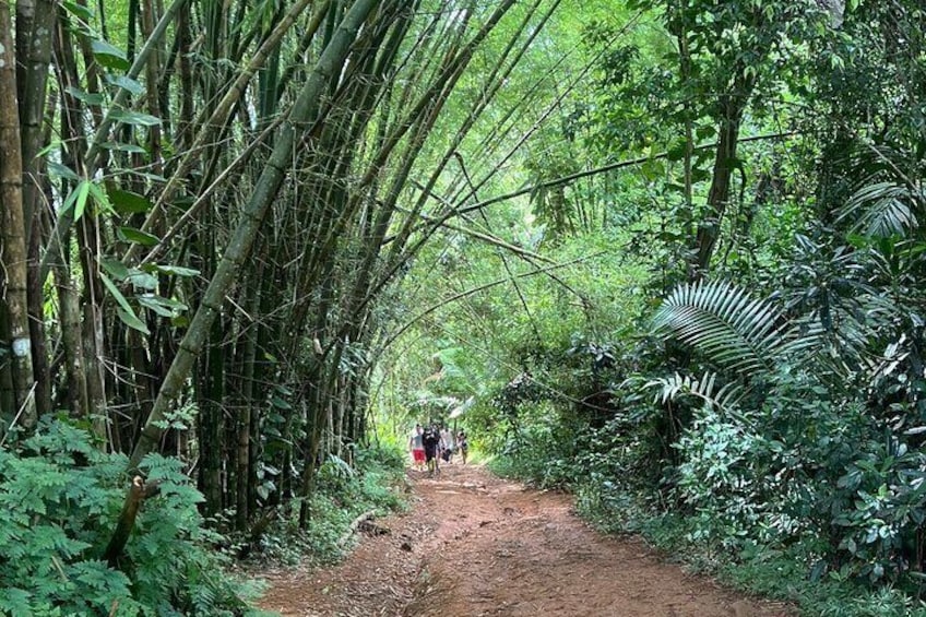 El Yunque Rainforest Hidden Waterpark Tour from San Juan