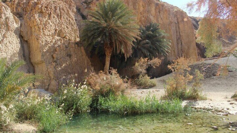 From Tozeur Visits Mountain Oases and Ong Jmal