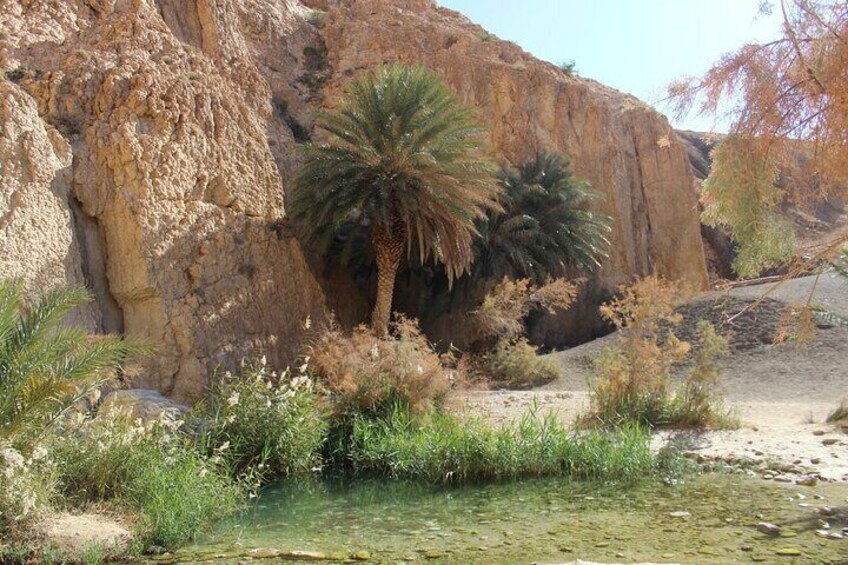 From Tozeur Visits Mountain Oases and Ong Jmal 