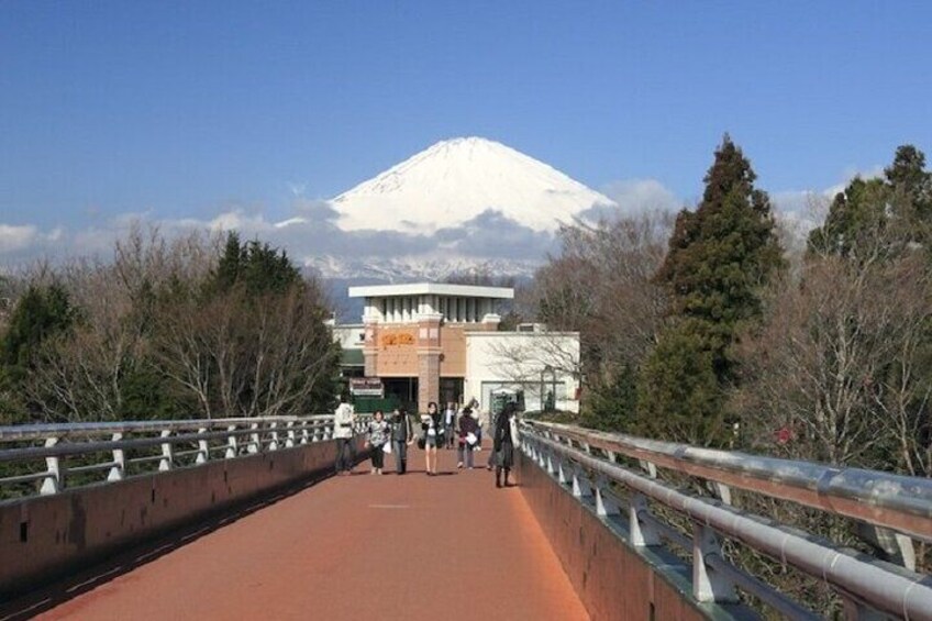 Mt. Fuji 5th Station Day Tour and Matcha Making in Tokyo