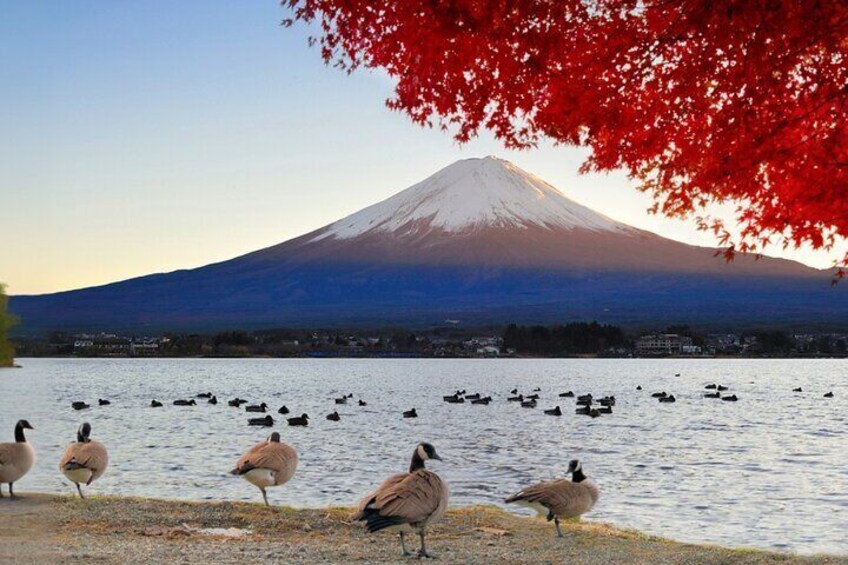 Mt. Fuji 5th Station Day Tour and Matcha Making in Tokyo