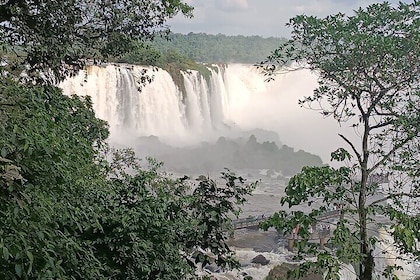 Private Tour in Brazilian Side Falls and Bird Park